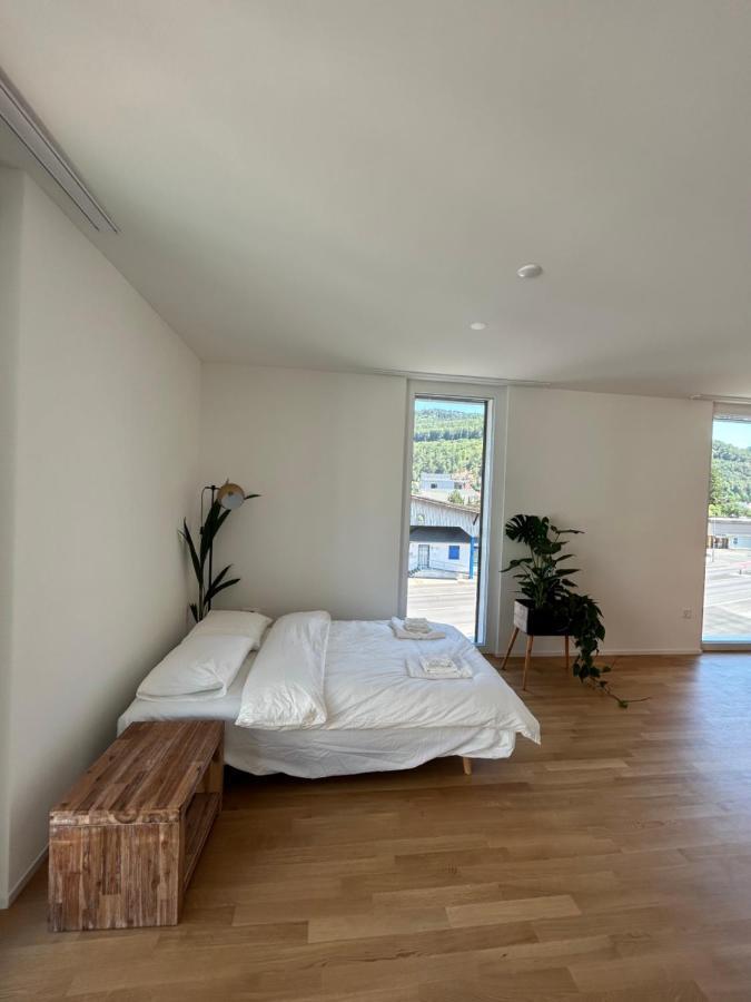 The R Apartment Passwang, Klima, Neu, Balkon, Parking Balsthal Bagian luar foto