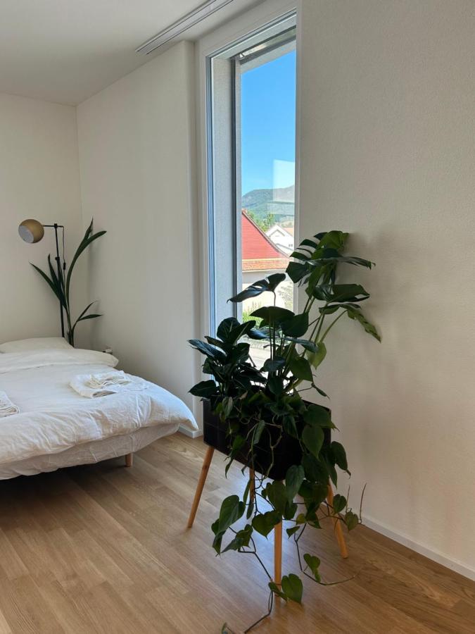 The R Apartment Passwang, Klima, Neu, Balkon, Parking Balsthal Bagian luar foto