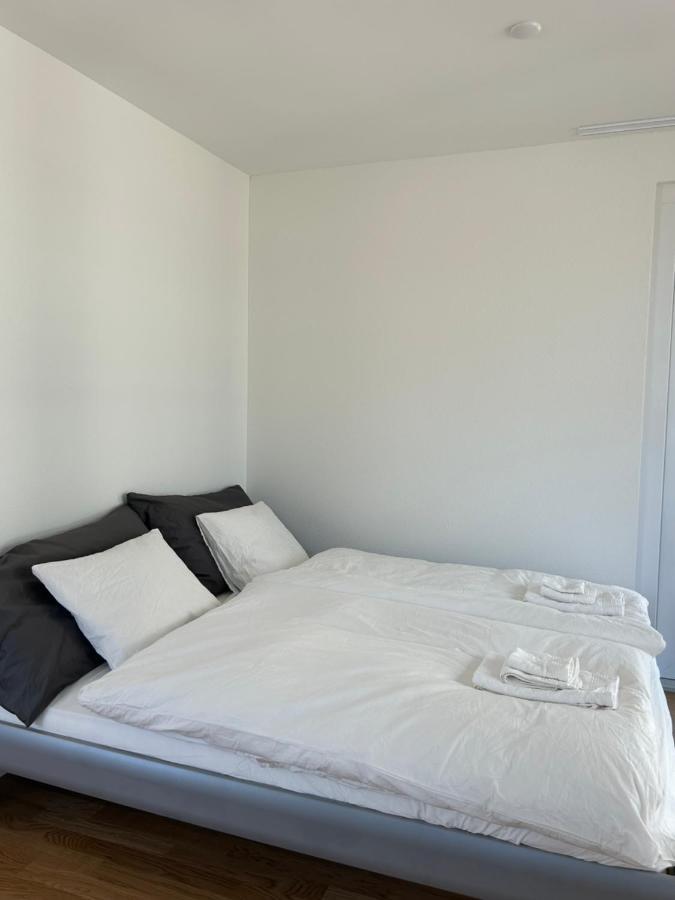 The R Apartment Passwang, Klima, Neu, Balkon, Parking Balsthal Bagian luar foto